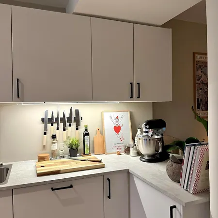 Modern Near Center Of Apartment