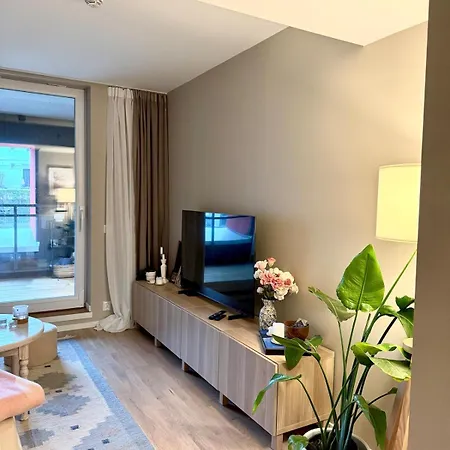 Modern Near Center Of Apartment