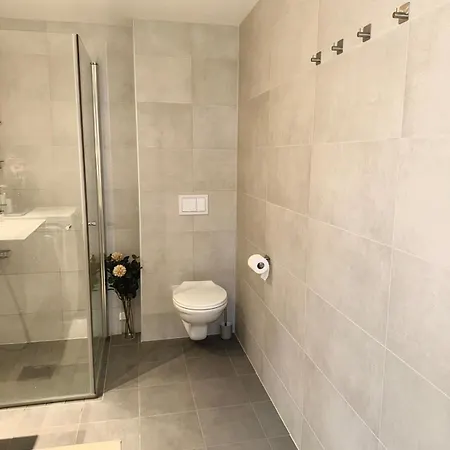 Modern Near Center Of Apartment