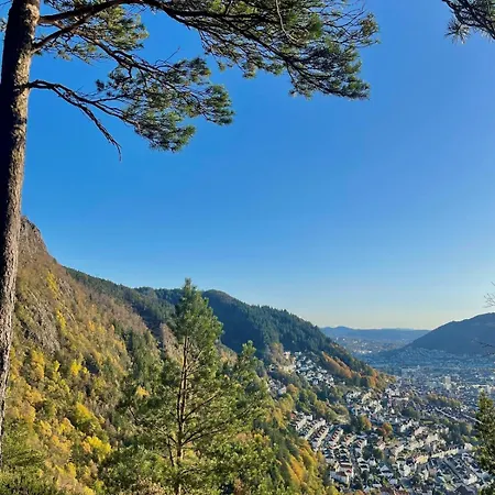 Modern Near Center Of Lejlighed Bergen